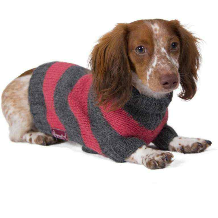 Petite Shamrock Dog Collar by Yellow Dog Design, Inc - Order Today