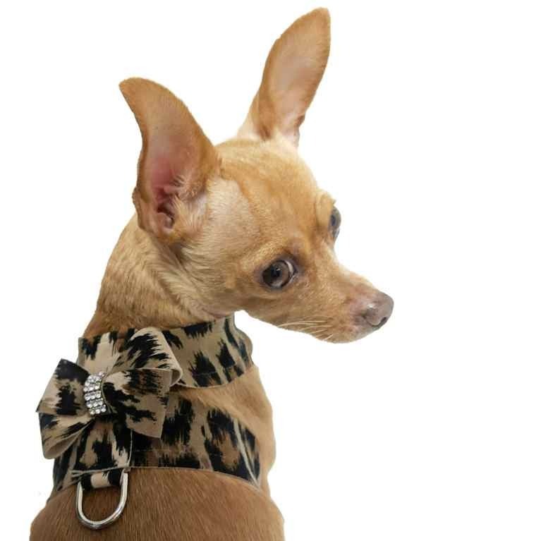 Designer Dog Harness / Dog Harness With Bow Tie / Small Dog 