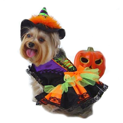 Colorful Halloween Witch Dog Costume