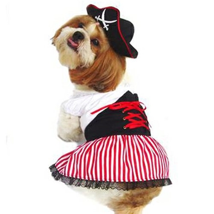 Alpine Girl Dog Costume