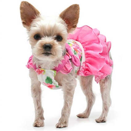  Trendy Dog Sundress - Cute Animal Print Dog Dress Shirt - Art Dog  Clothing - Pink, 2XL : Pet Supplies