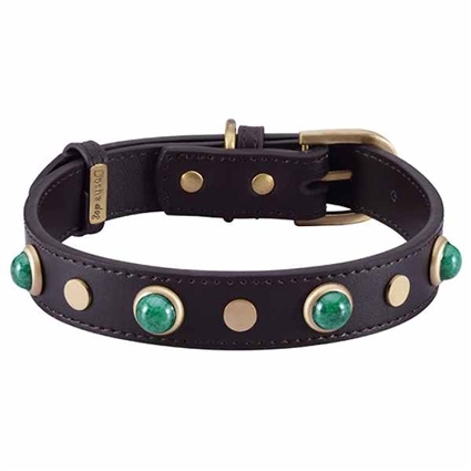 Southern Living Embossed Leather & Tortoise Charm Dog Collar