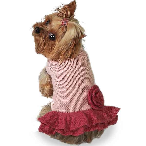 Dog deals sweater dress