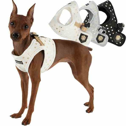 designer dog harness