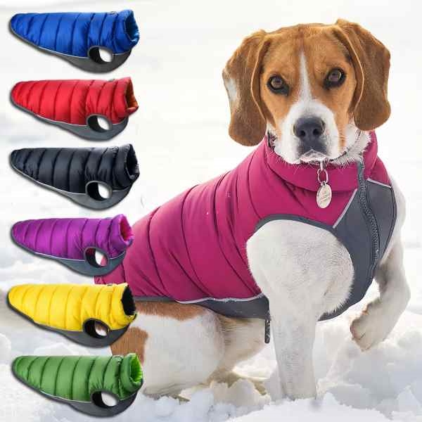 Small dog jackets shops