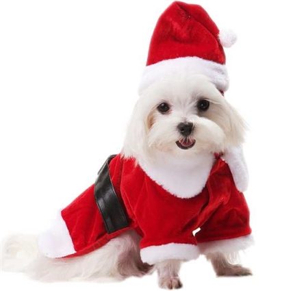 Santa Paws Christmas Designer Dog Coat