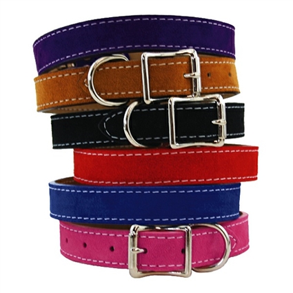 Saratoga Suede Leather Dog Collars