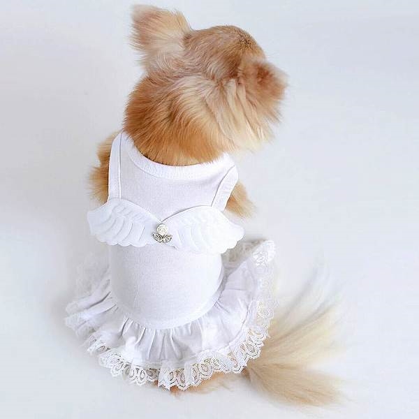 White Dog Dress